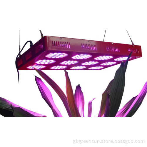 True 500W (240*3W) LED Grow Lighting for Medical Plants Indoor Greenhouse
